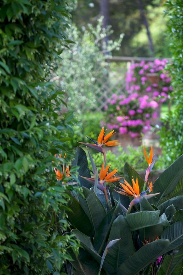 La Cervara Bed and Breakfast Santa Margherita Ligure Exterior foto